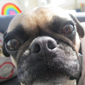 Meet your Posher, Eleanor